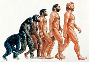 Парадоксальные теории об эволюции человечества